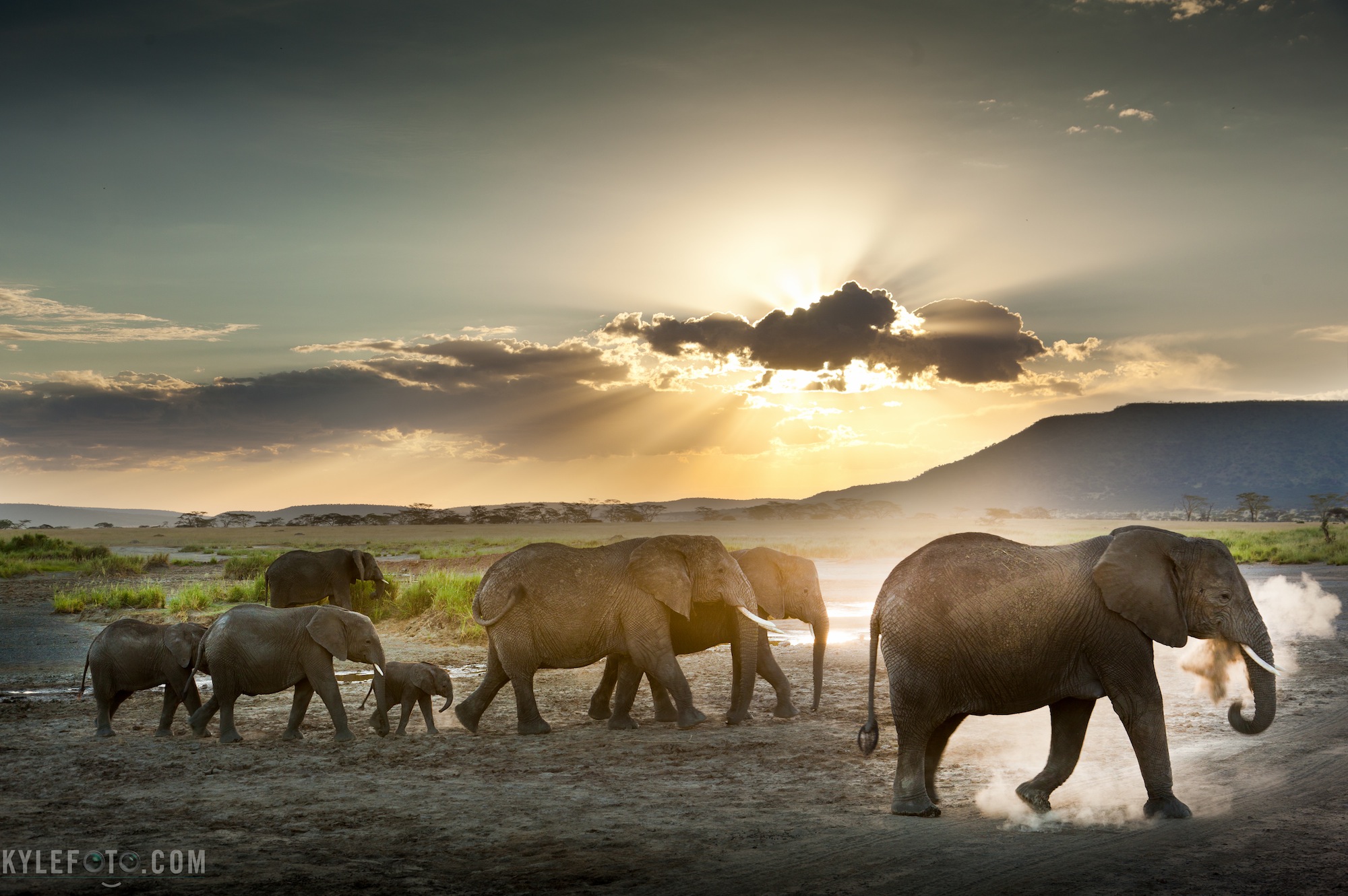 elephanthdr-12.jpg