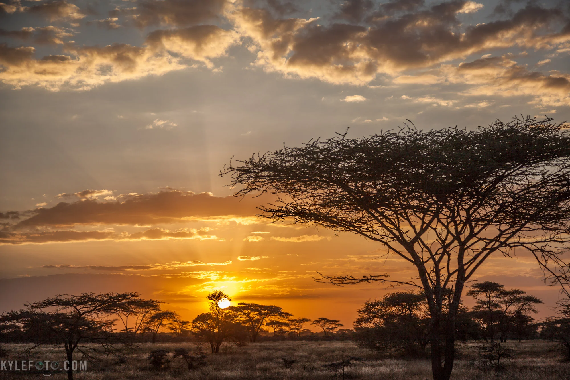 sunset-in-one-shot-1.jpg
