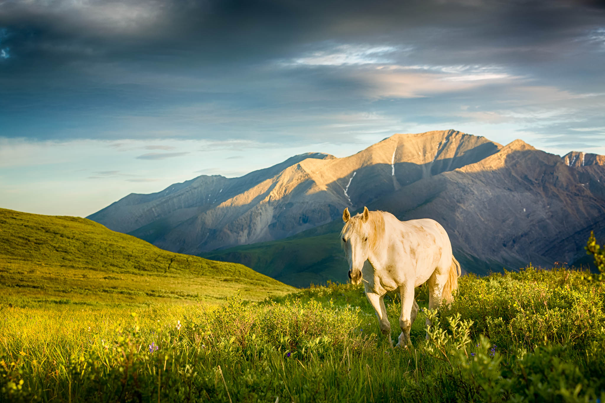 _S4A3042_HDR.jpgimgmax=2048.jpg