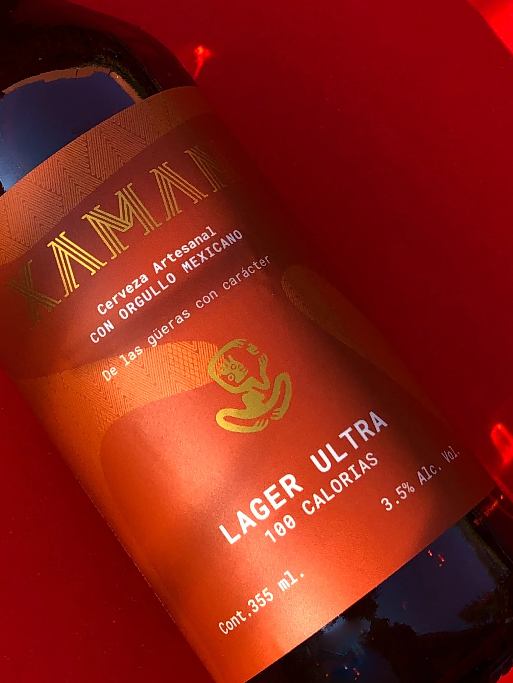 XAMAN AVIO DE PAPER 2.JPG