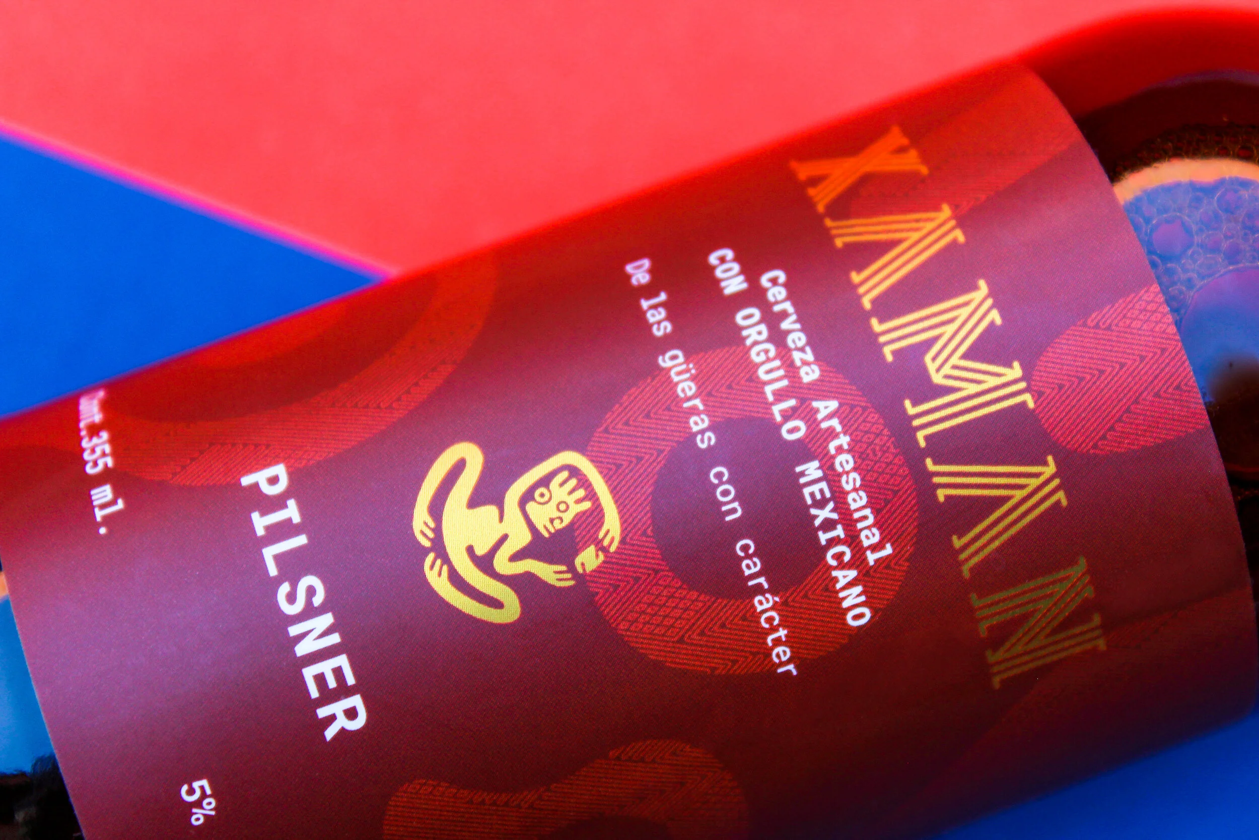 XAMAN AVIO DE PAPER 4.JPG