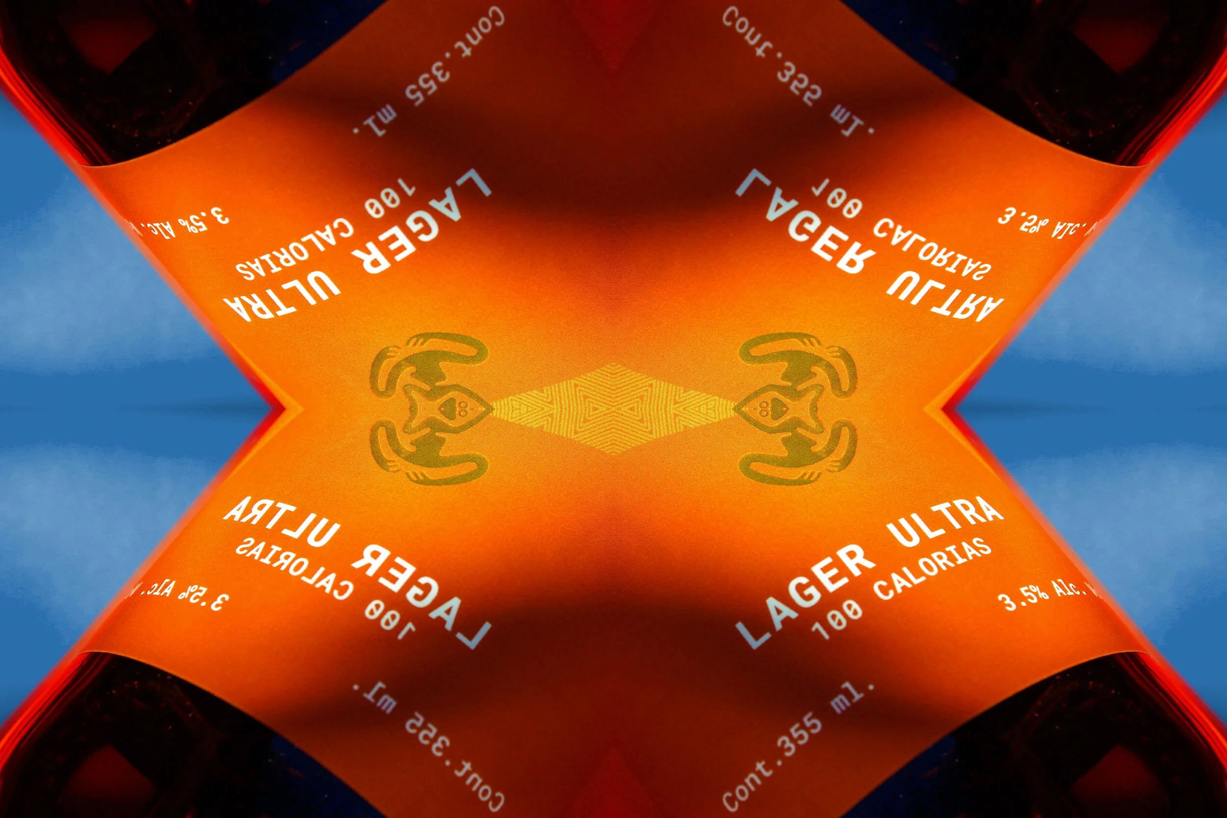 XAMAN AVIO DE PAPER 6.JPG