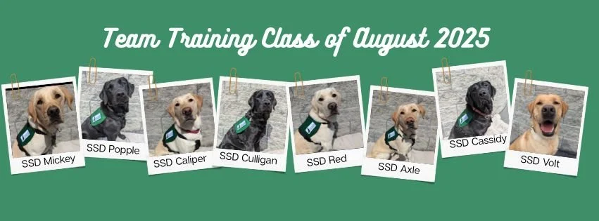 Grantee Spotlight: A Mission of Service Supporting Veterans Through the Power of Partnership