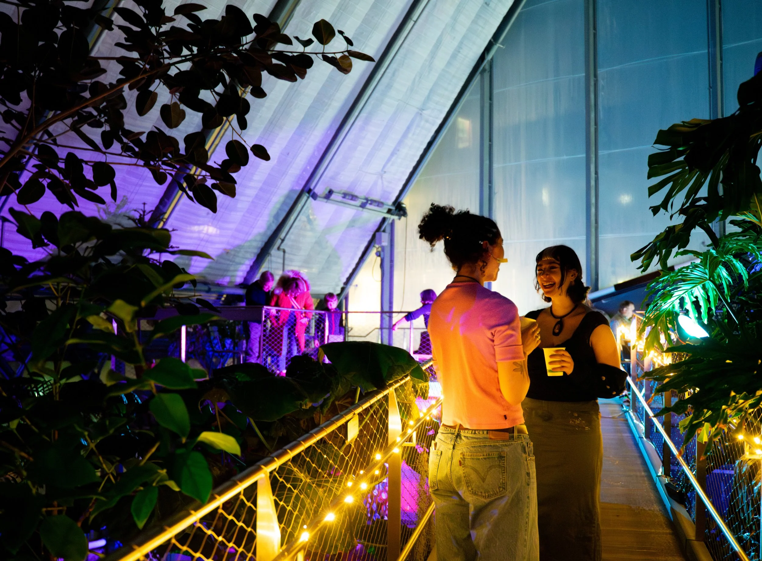 DSC03746-Enhanced-NR (2).jpg