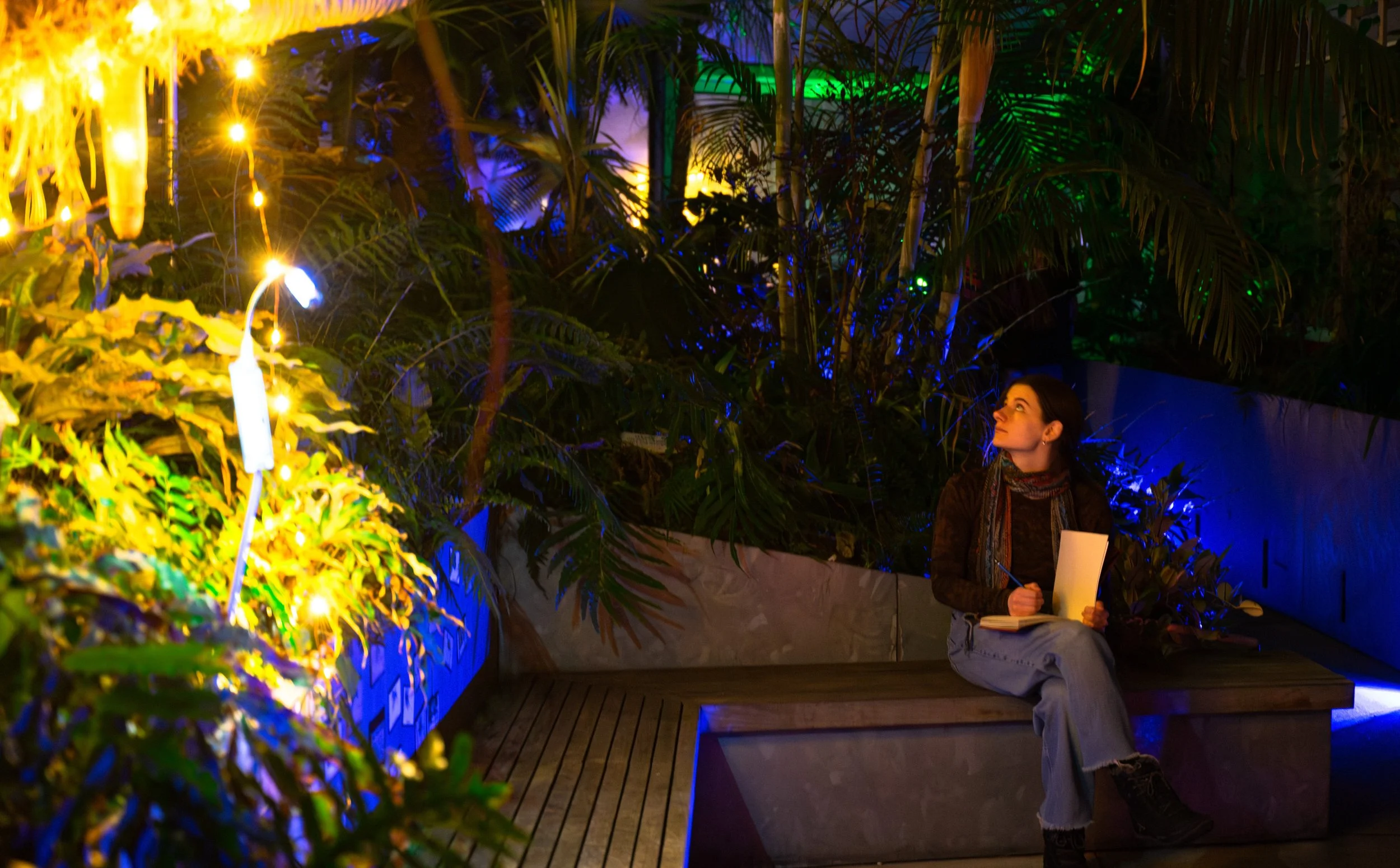 DSC03767-Enhanced-NR (1).jpg