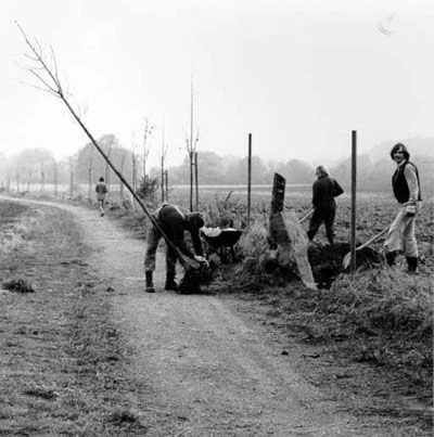 Joseph Beuys, 7000 Oaks – City Forestation Instead of City Administration , 1982