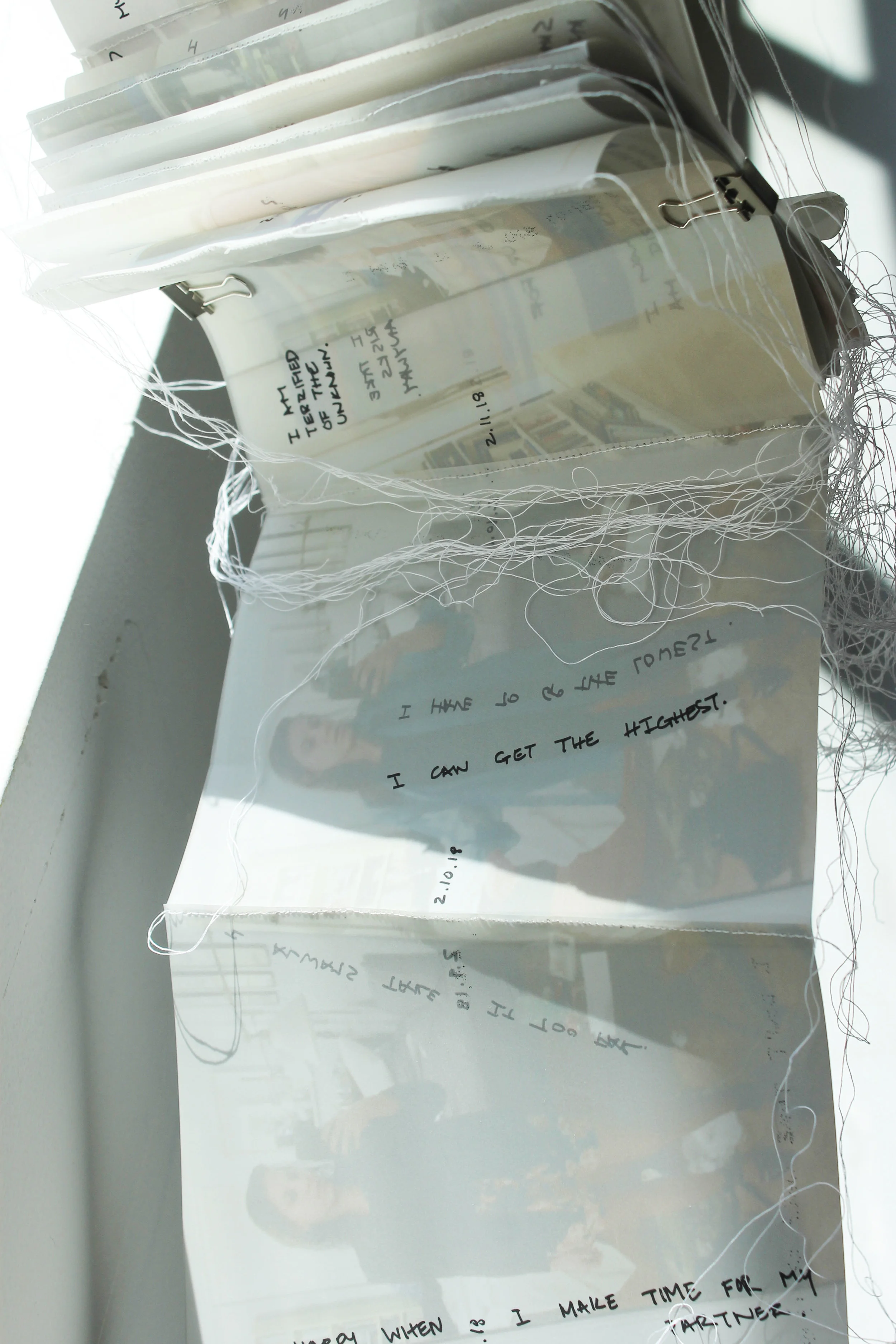 Alex Goldberg, 100 Days Scroll, 2018