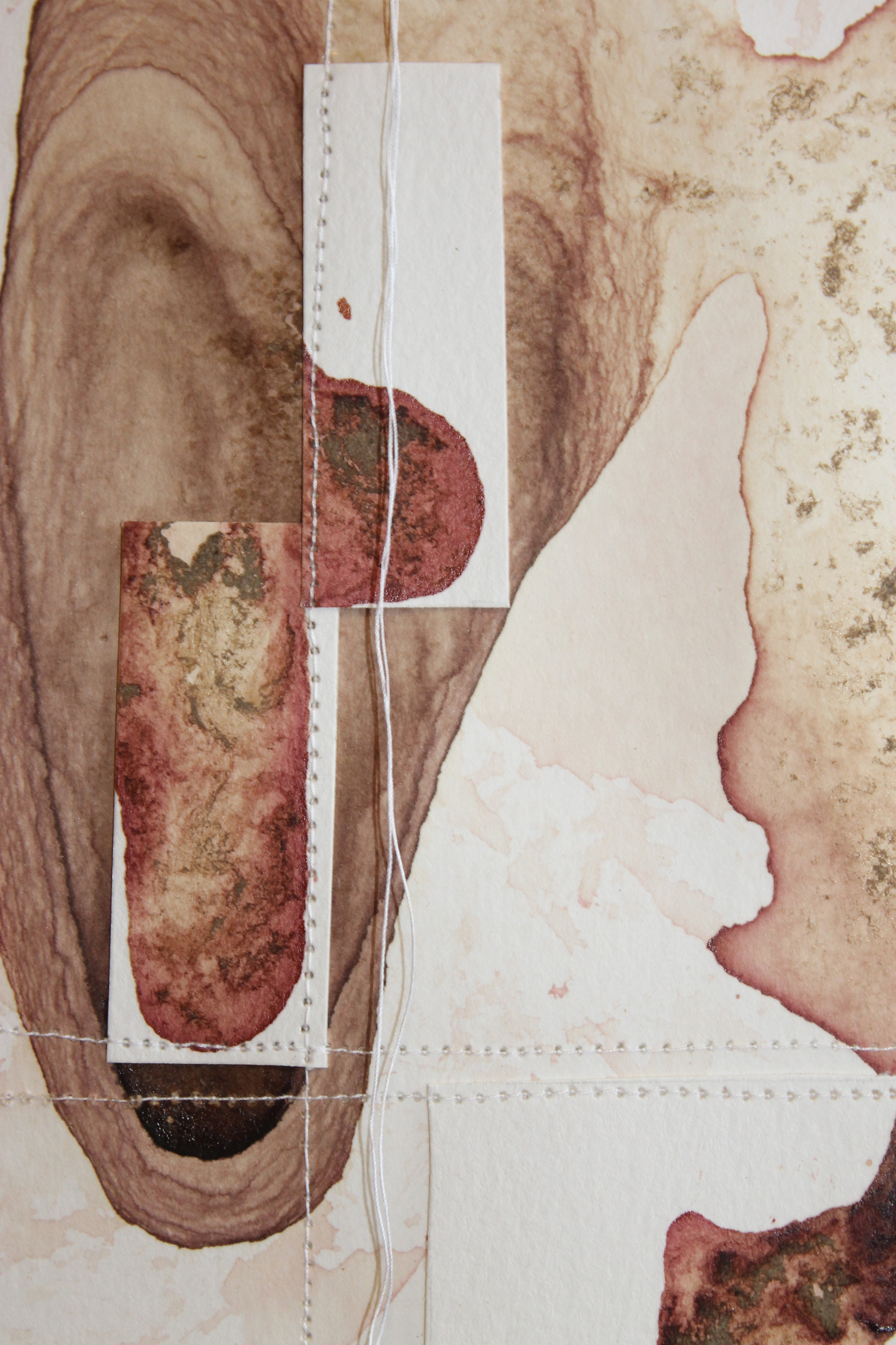 collage13.jpg
