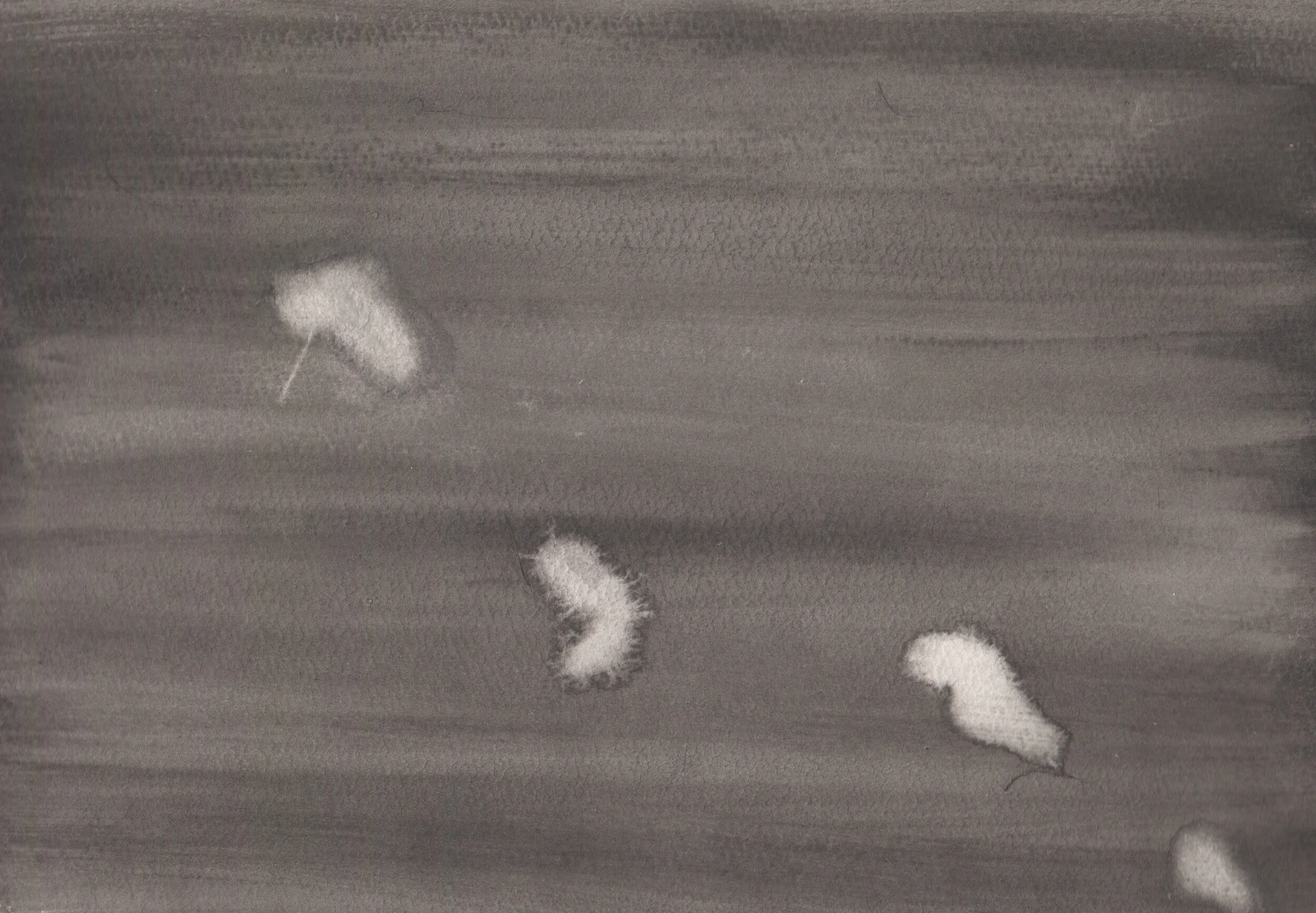 sourcepoint visions 190812 (ivory blobs towards the end of an extraction)