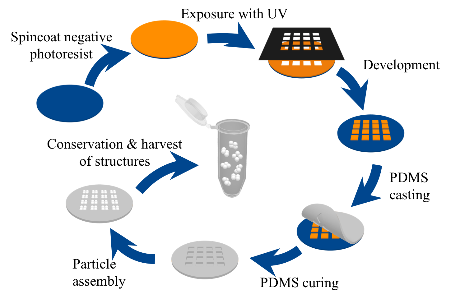 Brief scheme of preparing the pre-assembled multi-particle structures