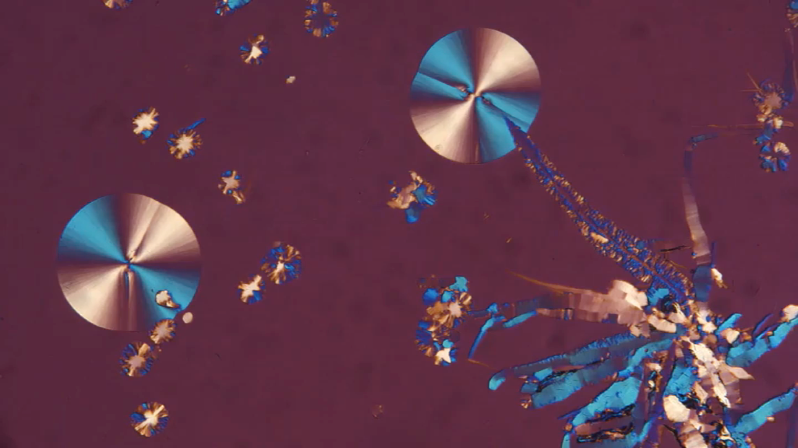 The growth of DDT Form I and DDT Form II from a supercooled melt confined between glass slides at 20˚C as viewed using crossed polarizers with first order red wave plate before the analyzer