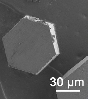 Scanning electron micrograph of a typical hexagonal l-cystine crystal