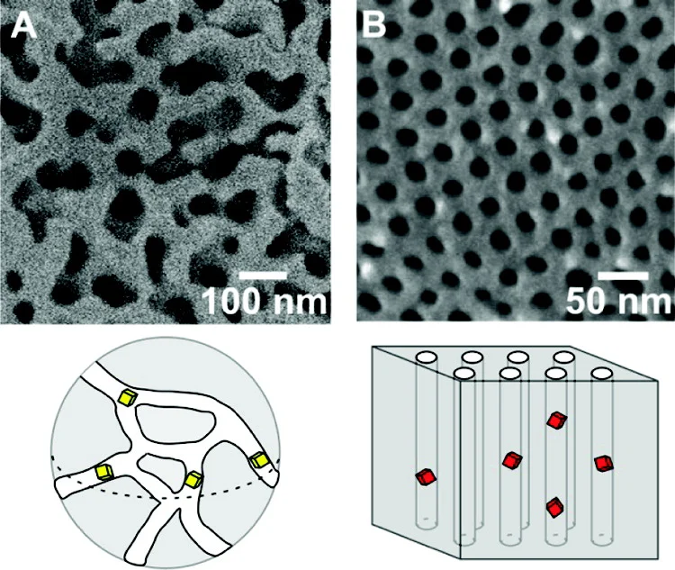 Nanoscale reactors. Controlled pore glass (left) and anodic aluminum oxide (right)