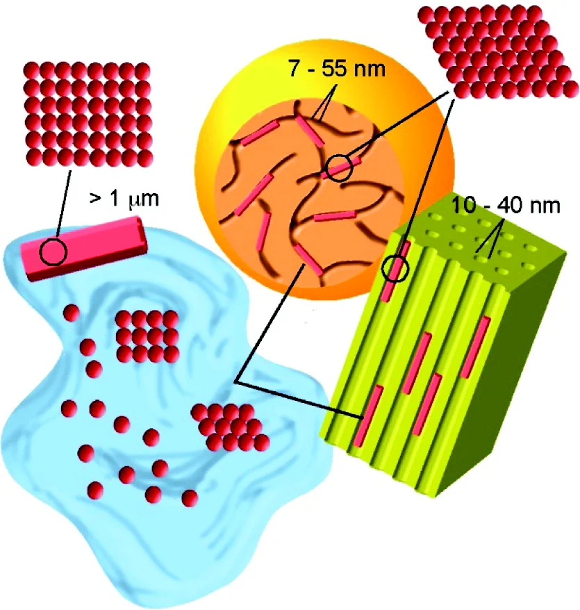 Schematic representation of polymorph selectivity as a function of crystal size