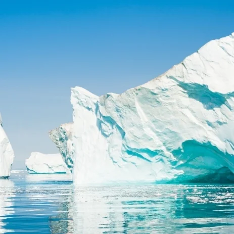 Dynamics of Ice Crystallization