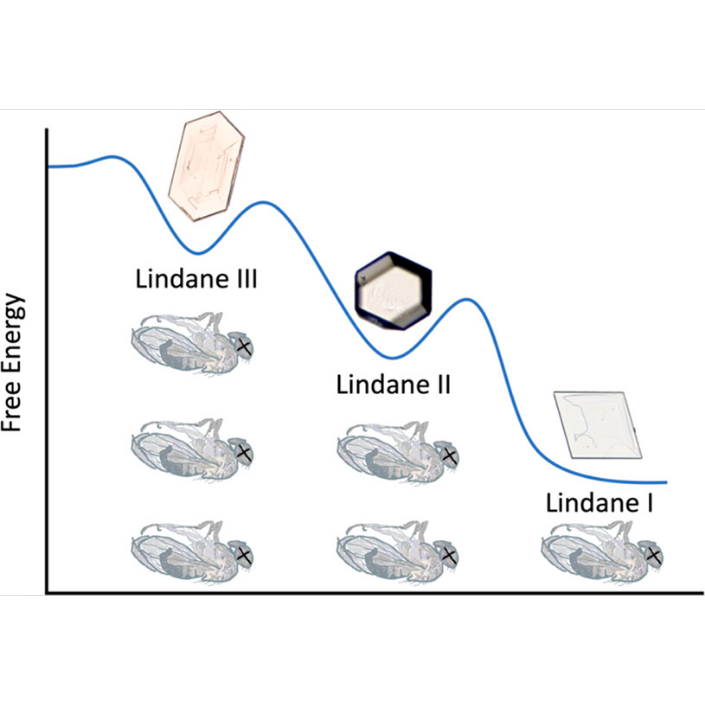 Lindane polymorphs and insecticide lethality