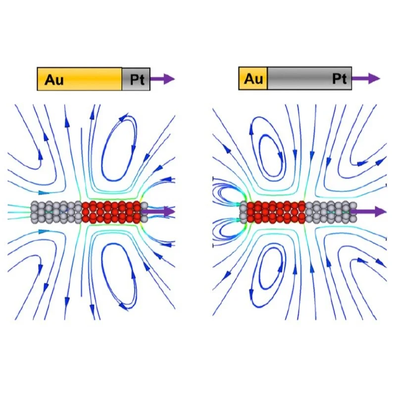 Relating Rheotaxis and Hydrodynamic Actuation using Asymmetric Gold-Platinum Phoretic Rods