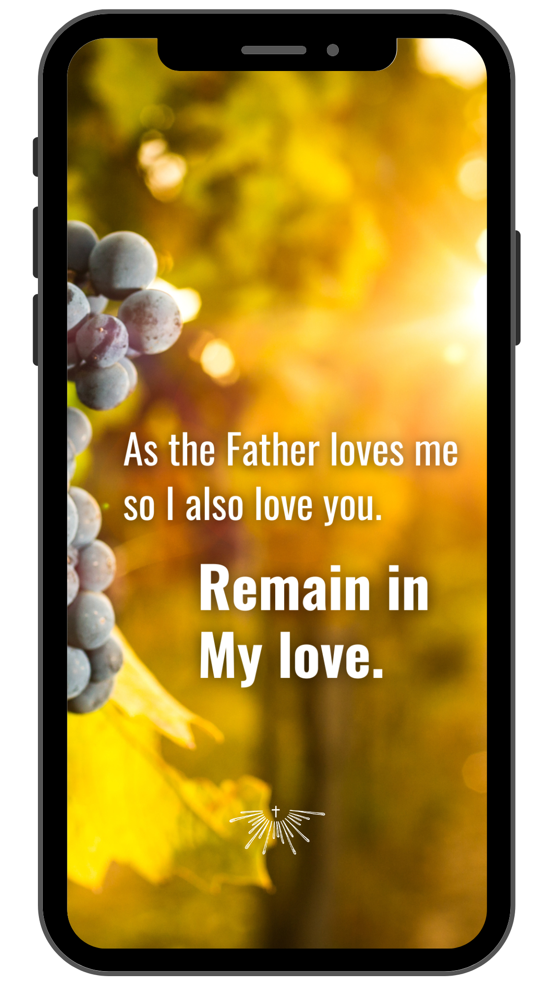 A smartphone screen displays a religious message with a blurred background of grapes and yellow leaves, reading: "As the Father loves me so I also love you. Remain in My love," with a small cross and rays of light icon below.