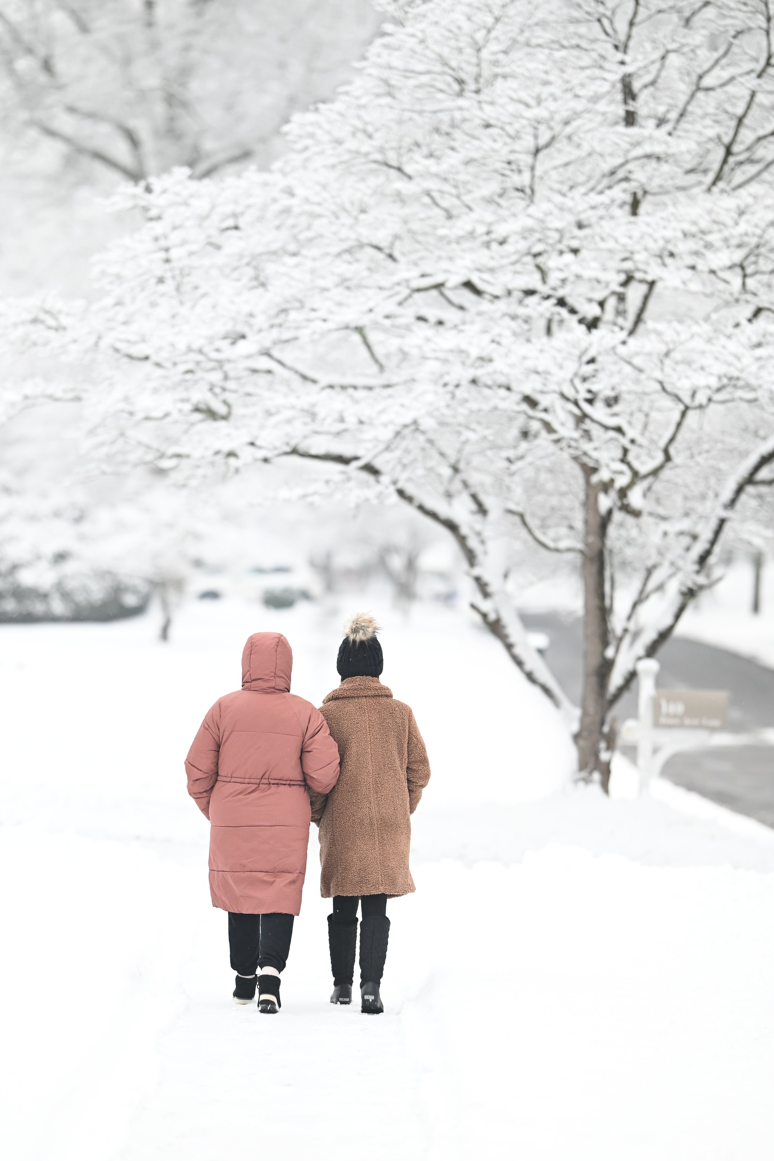 Finding Beauty in the Winter Season