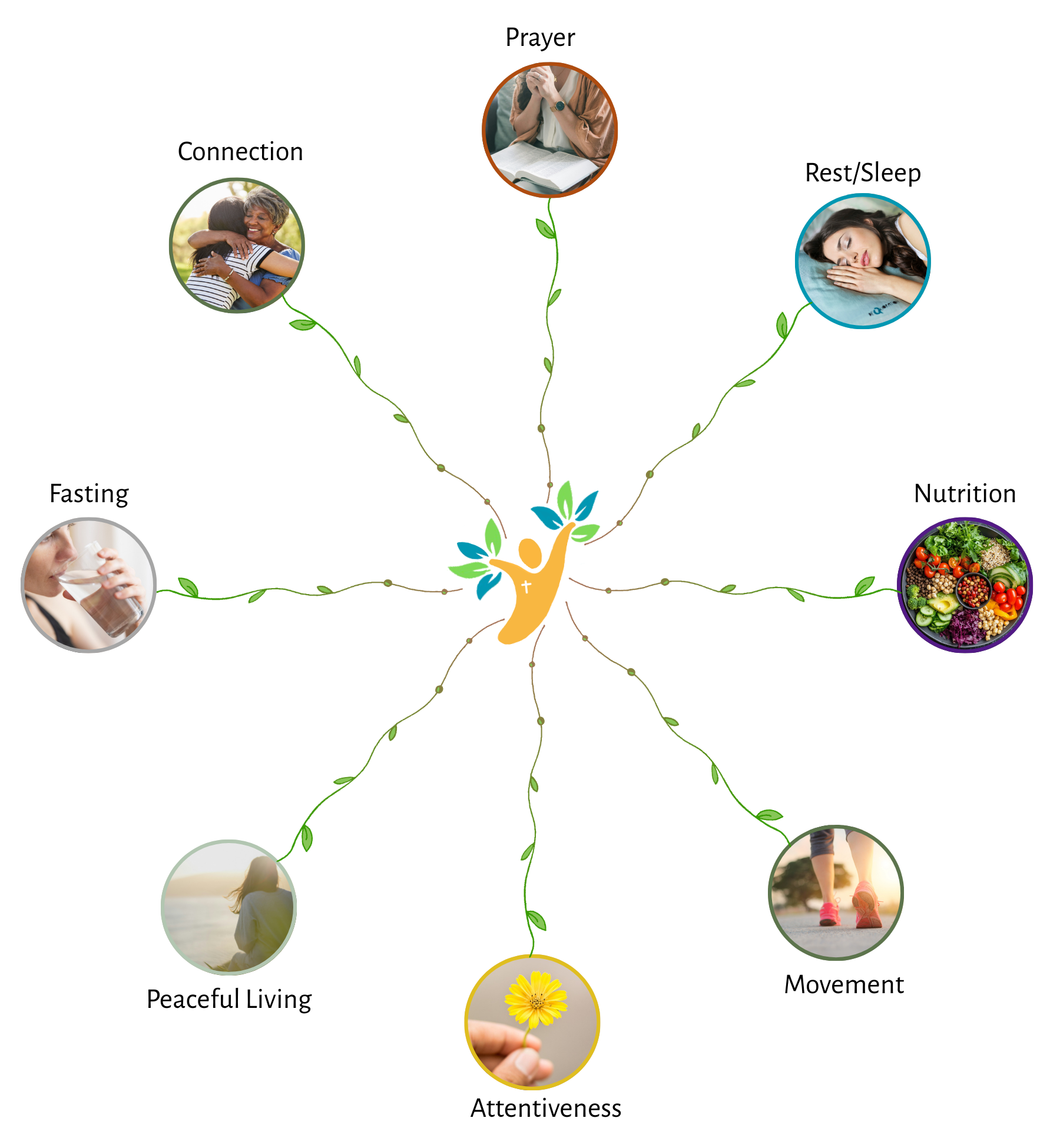 A diagram of a tree or family tree illustrating different aspects of a healthy lifestyle, including prayer, connection, rest/sleep, nutrition, movement, peaceful living, attentiveness, and fasting, represented by photos and labels.