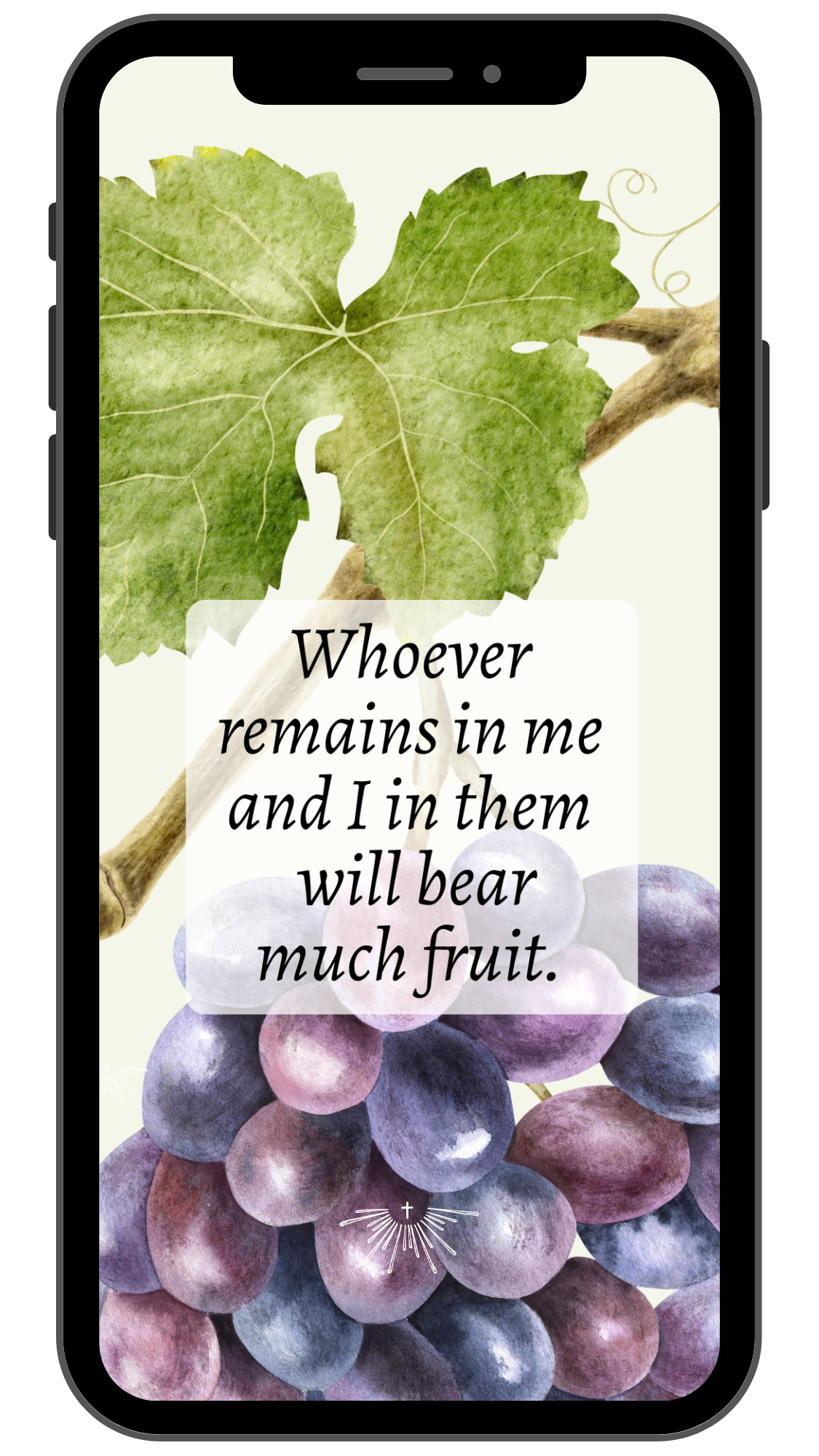 A phone screen displaying a background of grape clusters and grape leaves with a quote that says, "Whoever remains in me and I in them will bear much fruit."