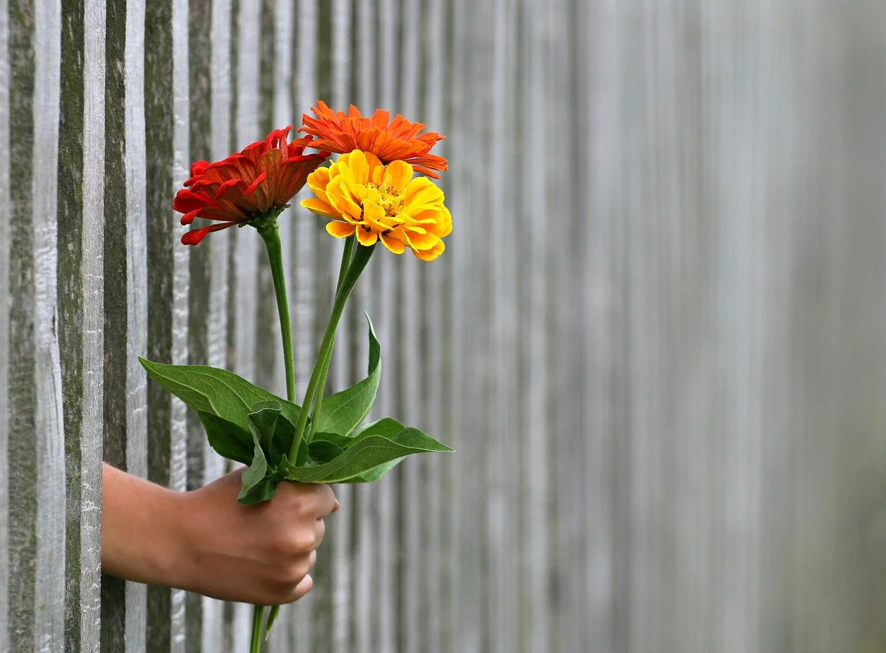 Free will offering
