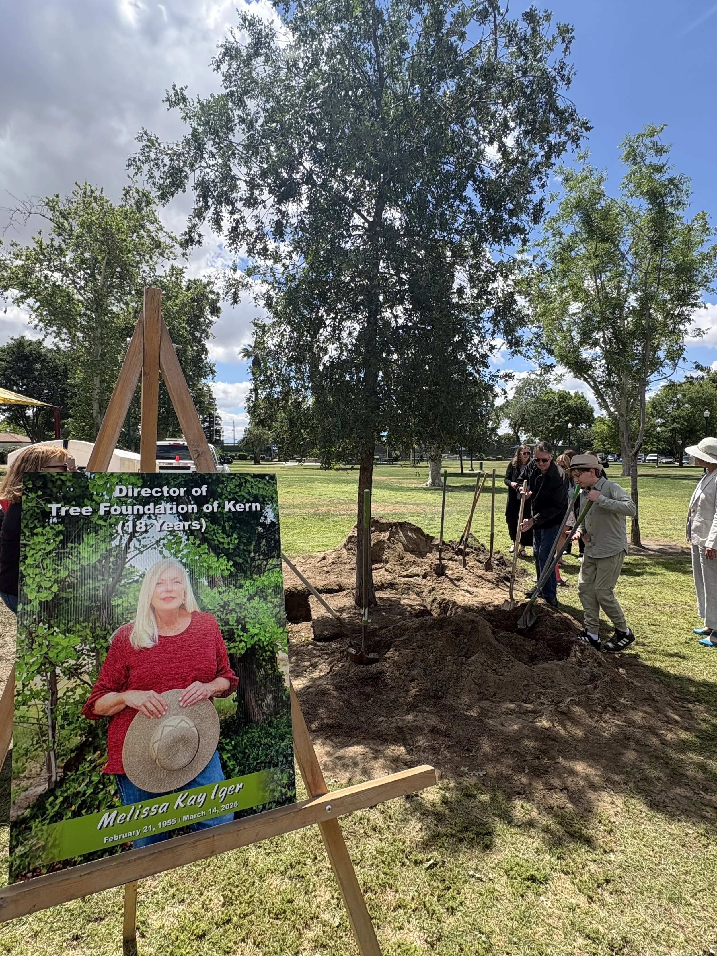 Valley Oak - In Memory of Melissa Iger