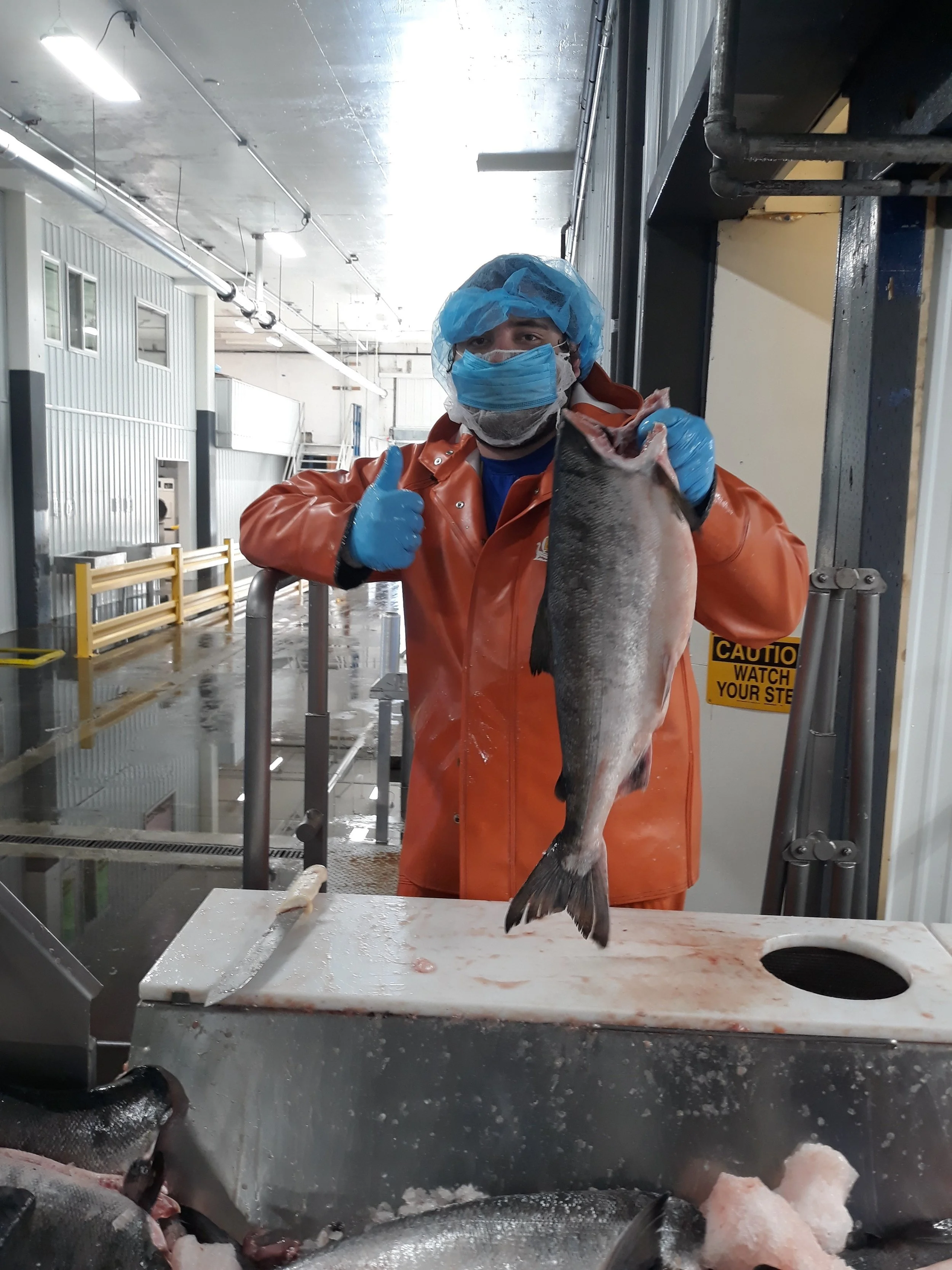 Gallery — Whittier Seafood