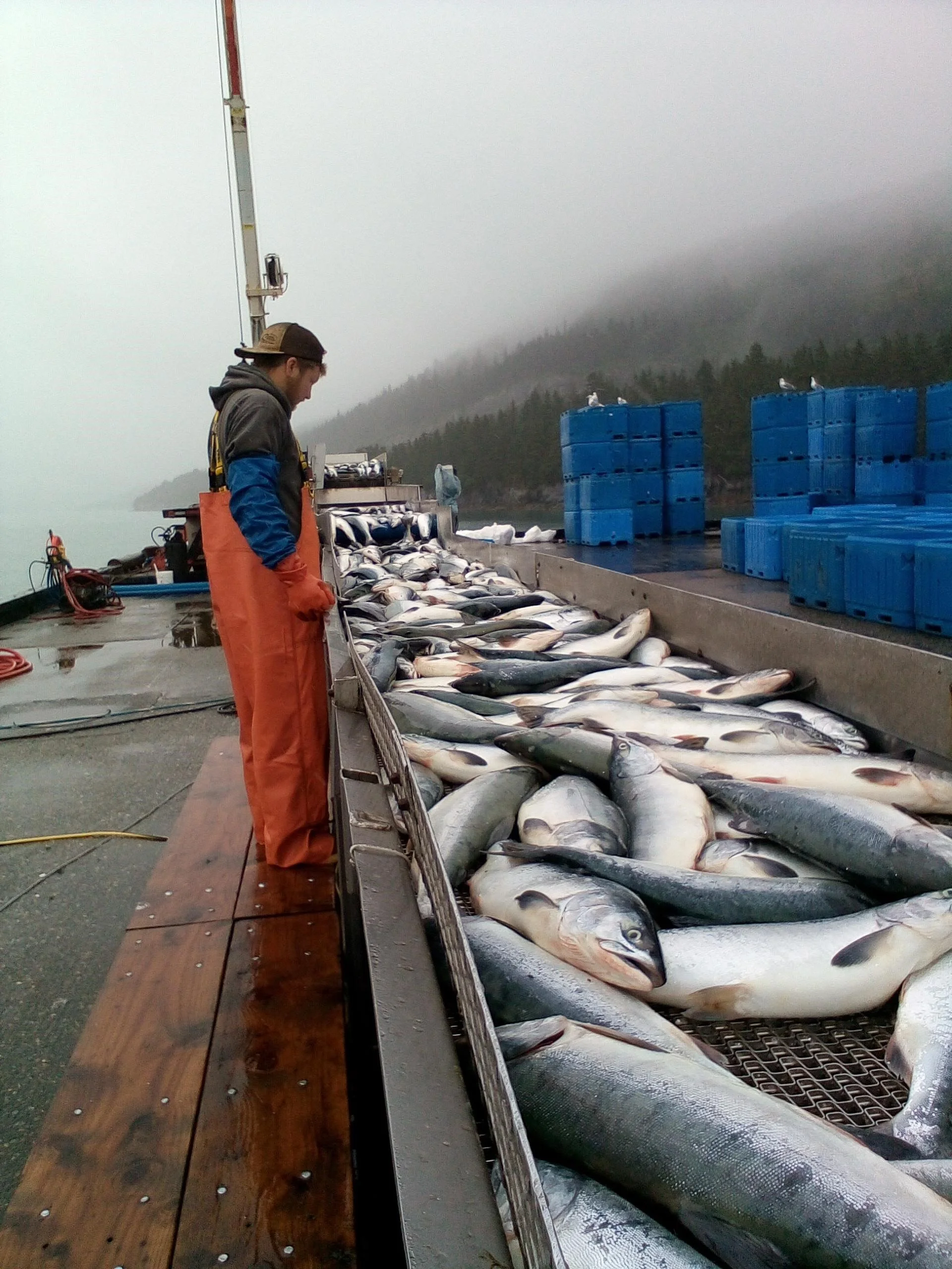 Gallery — Whittier Seafood