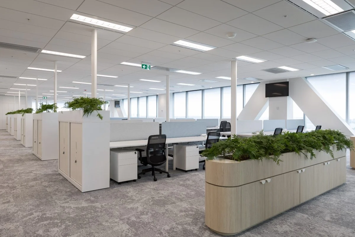 BlueWater-Project-Management-Auckland-Link-7.jpg