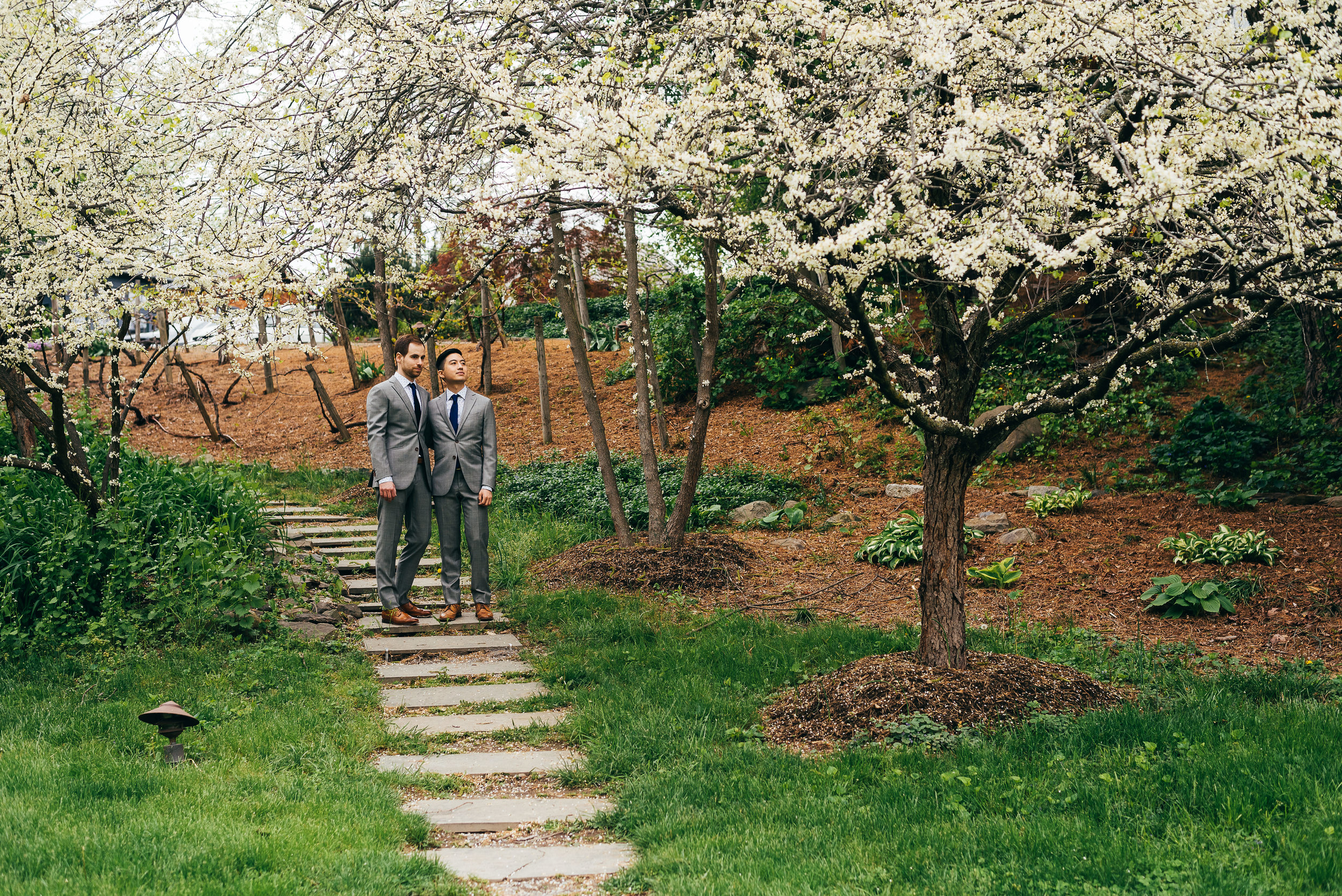 The two grooms admiring the cherry blossoms in the Hudson River Valley right after their wedding