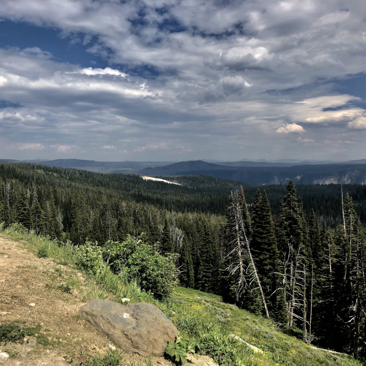 a view from mount washburn.