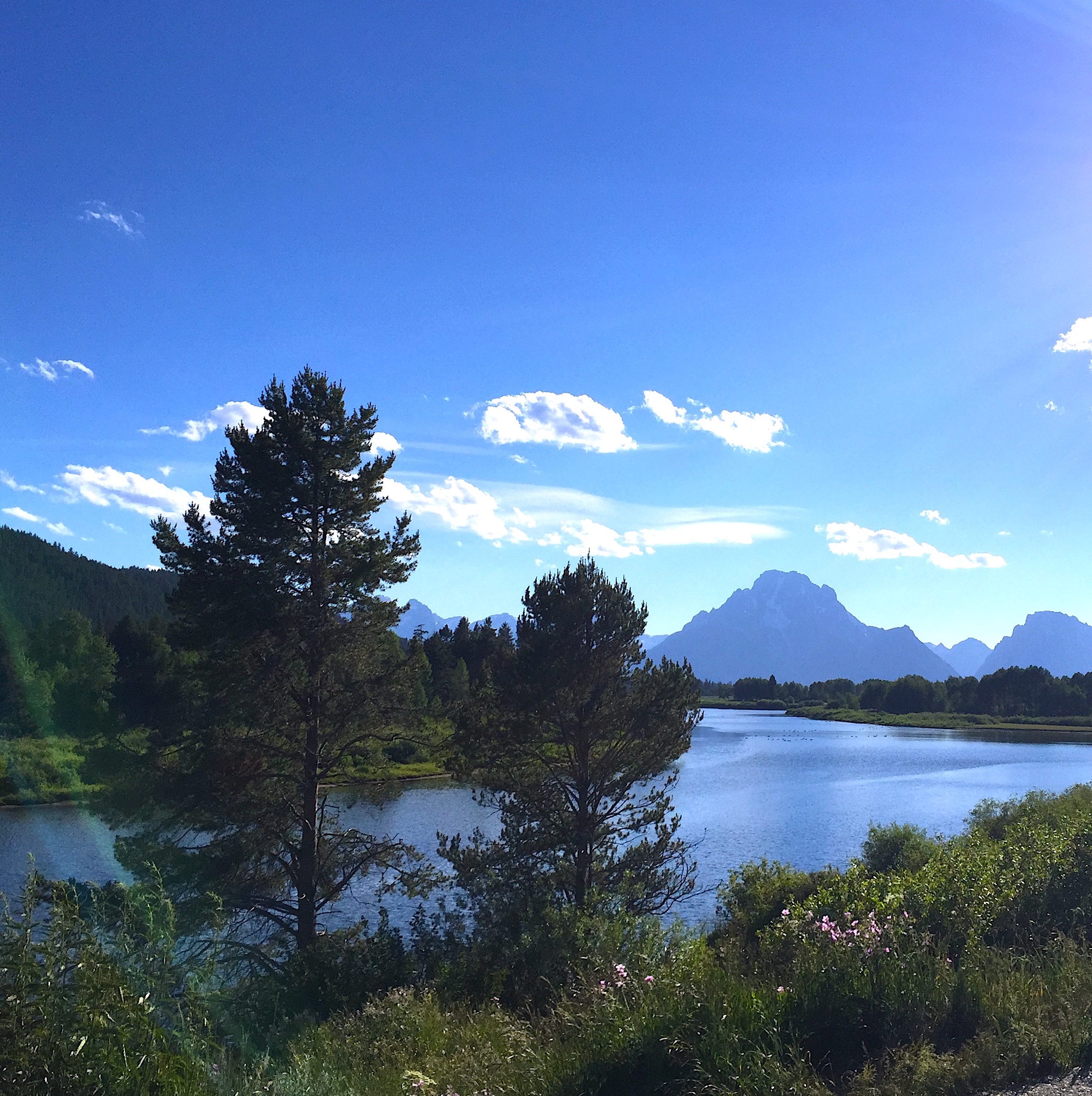 montana madison river.JPG