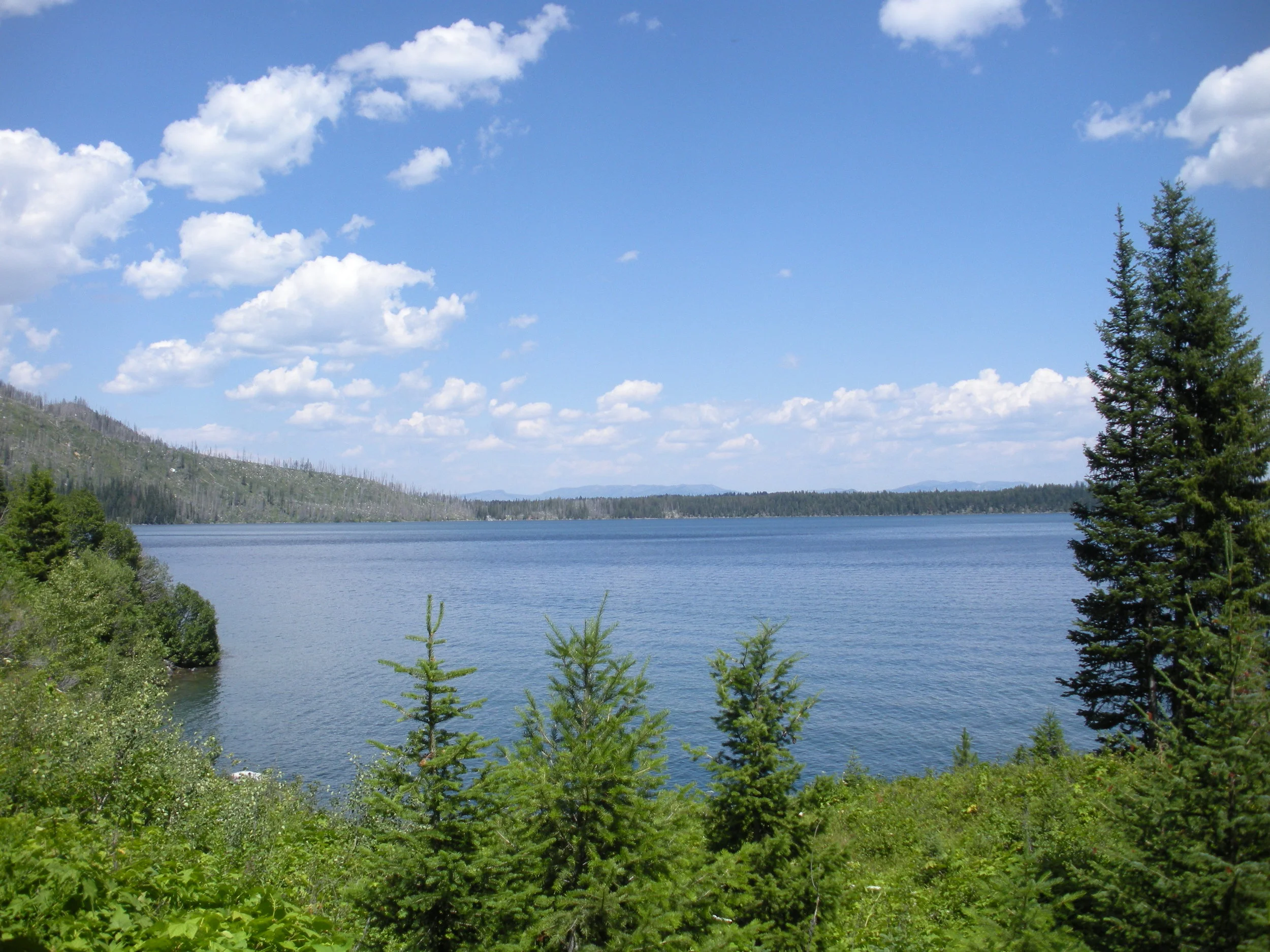 lake jenny 2.jpg