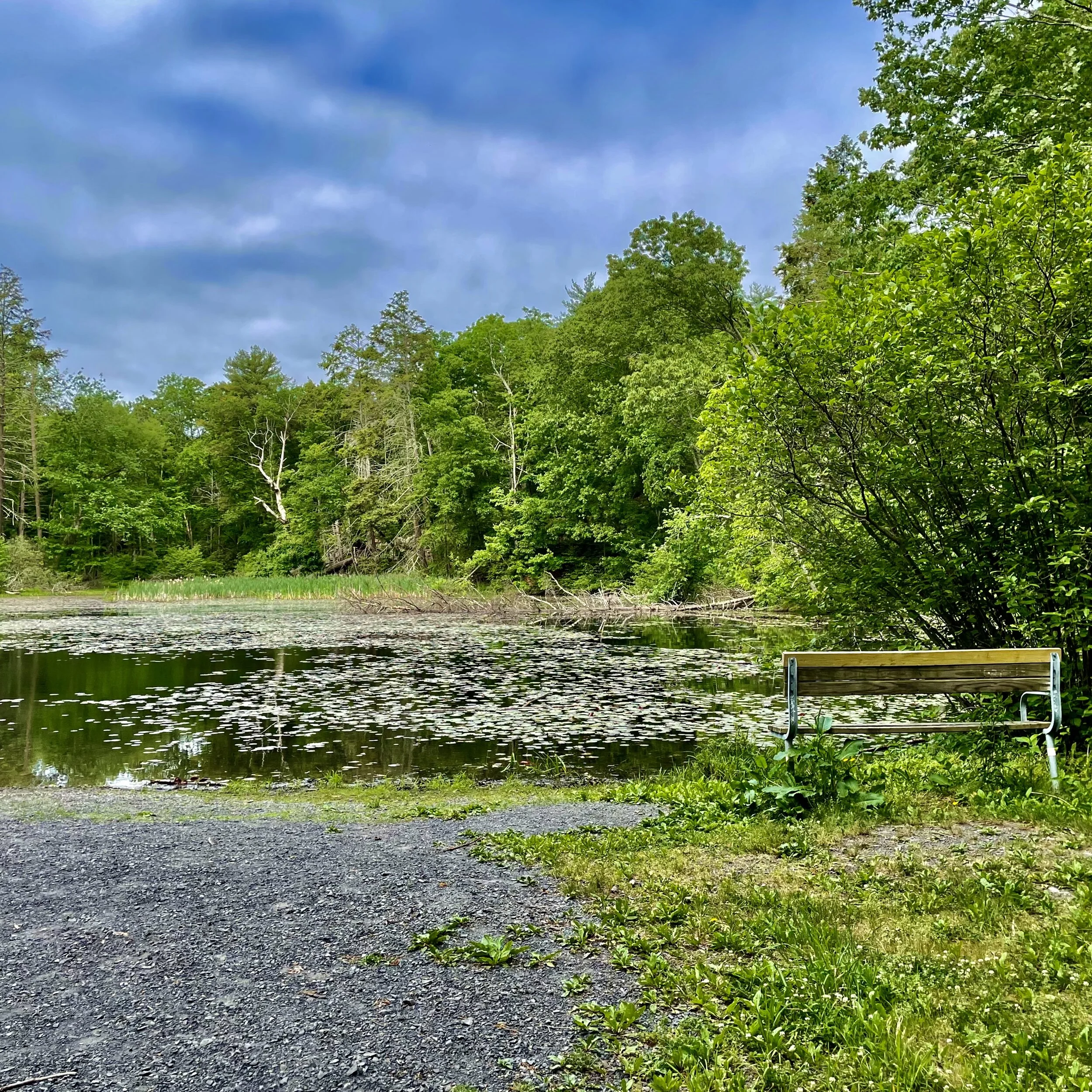 COVID-19? Try COVID-38 (lbs)! Getting outdoors to lose that Coronavirus padding