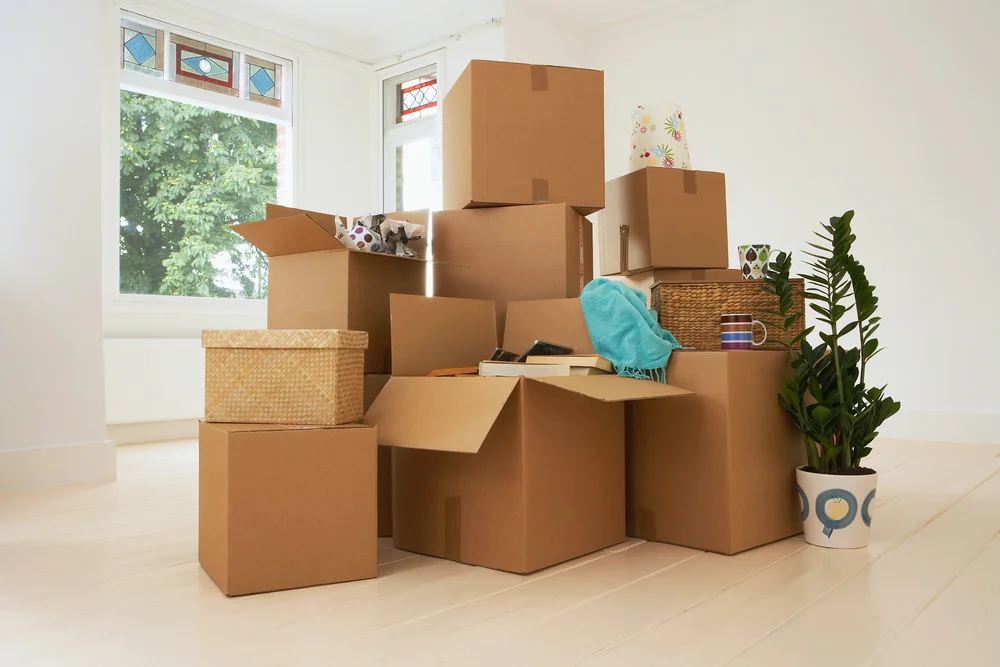 movingboxescleanplant.jpg