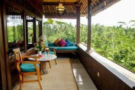 Bali view.jpg