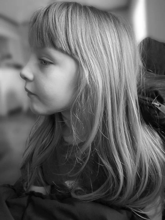 IMG_2804_fix.jpg