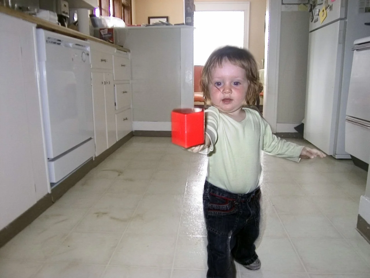 CRW_6806.jpg