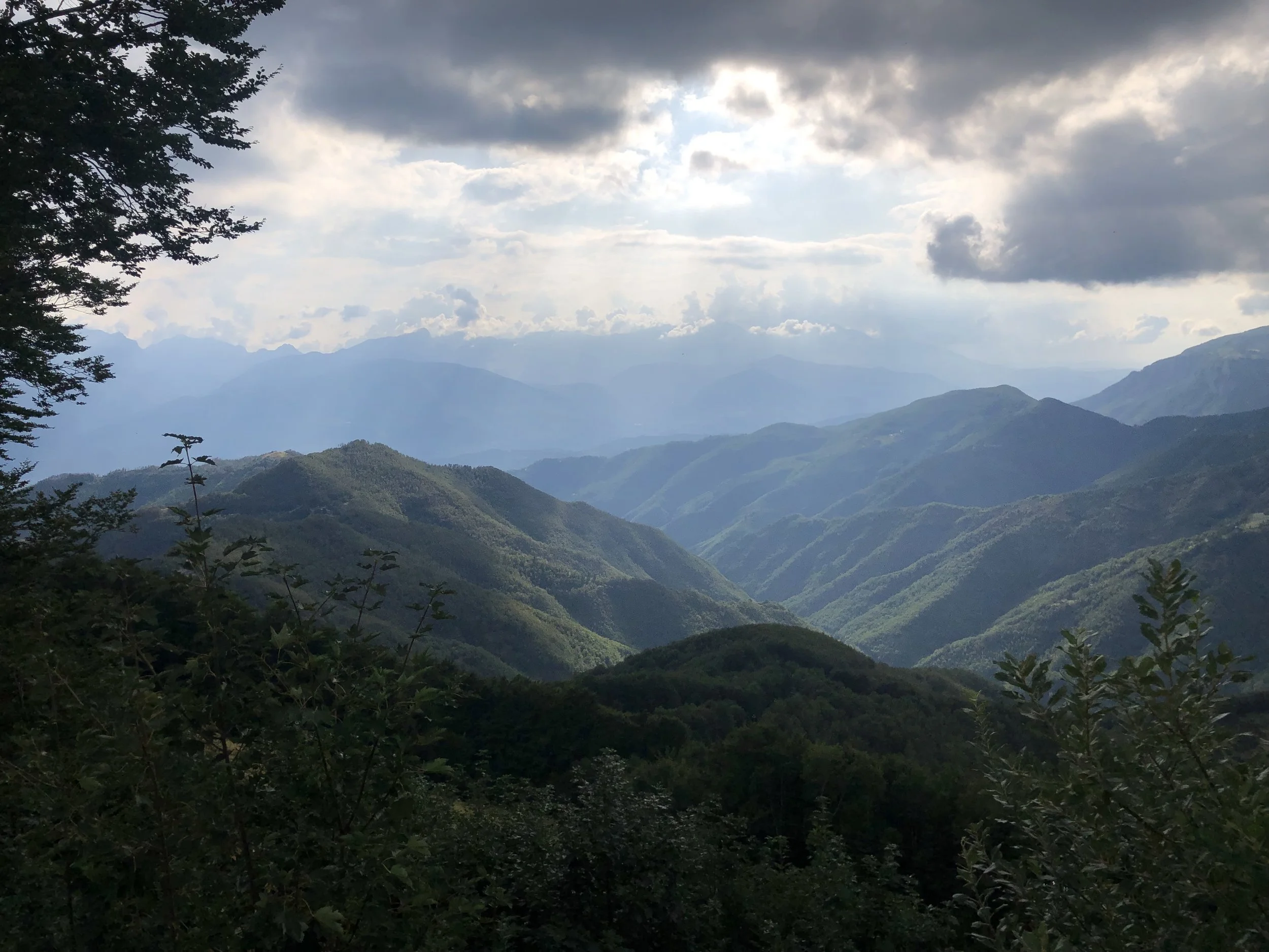 IMG_0712.jpeg