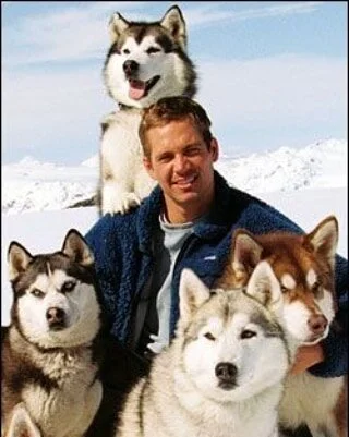 Paul Walker is just a struggling single Dad frying to save his 8 beautiful children from starving to death in the Antarctic Tundra. Download out episode on Disneys snow dog epic 8 BELOW available to download now on #applepodcasts #stitcher #googlepla