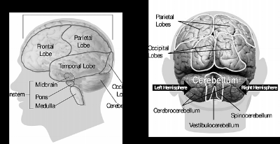 Playing-the-piano-changes-the-brain.png