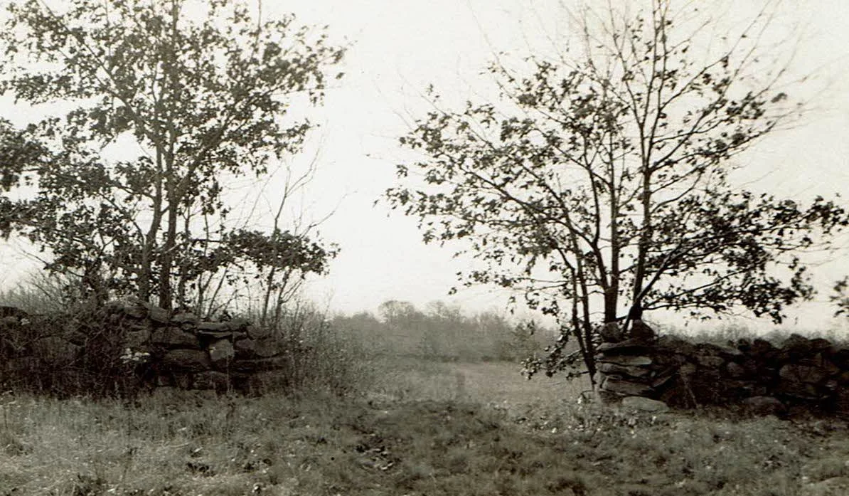 Potter Wood — Kingston Improvement Association