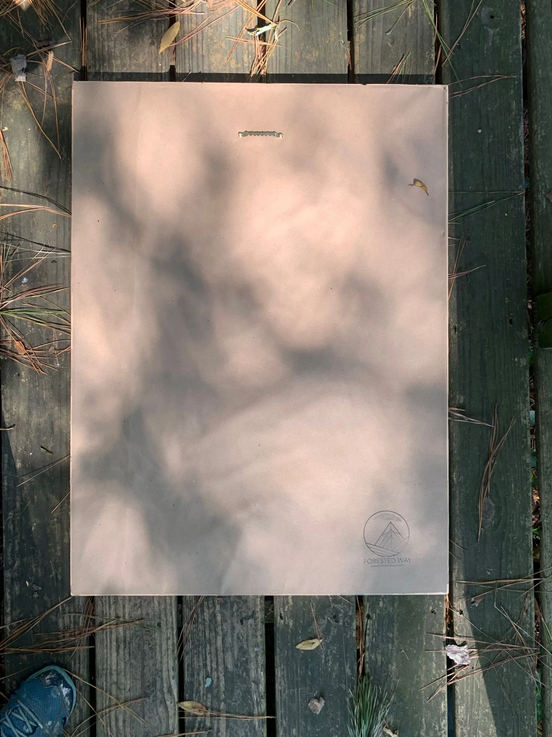 C6211E5C-F22B-44FE-A9AD-F59AD31F4478