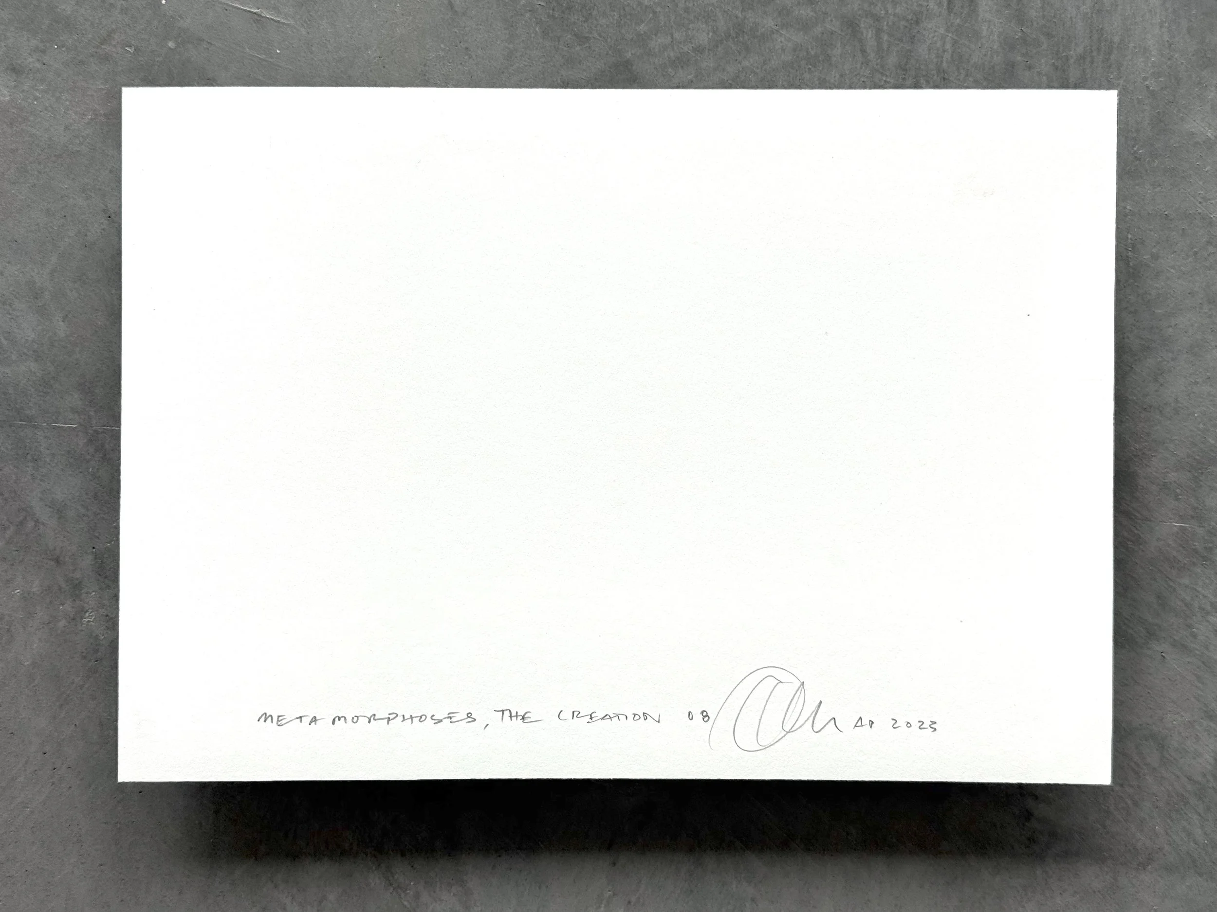 Kate Joyce Metamorphoses The Creation 08 IMG_2475.jpeg