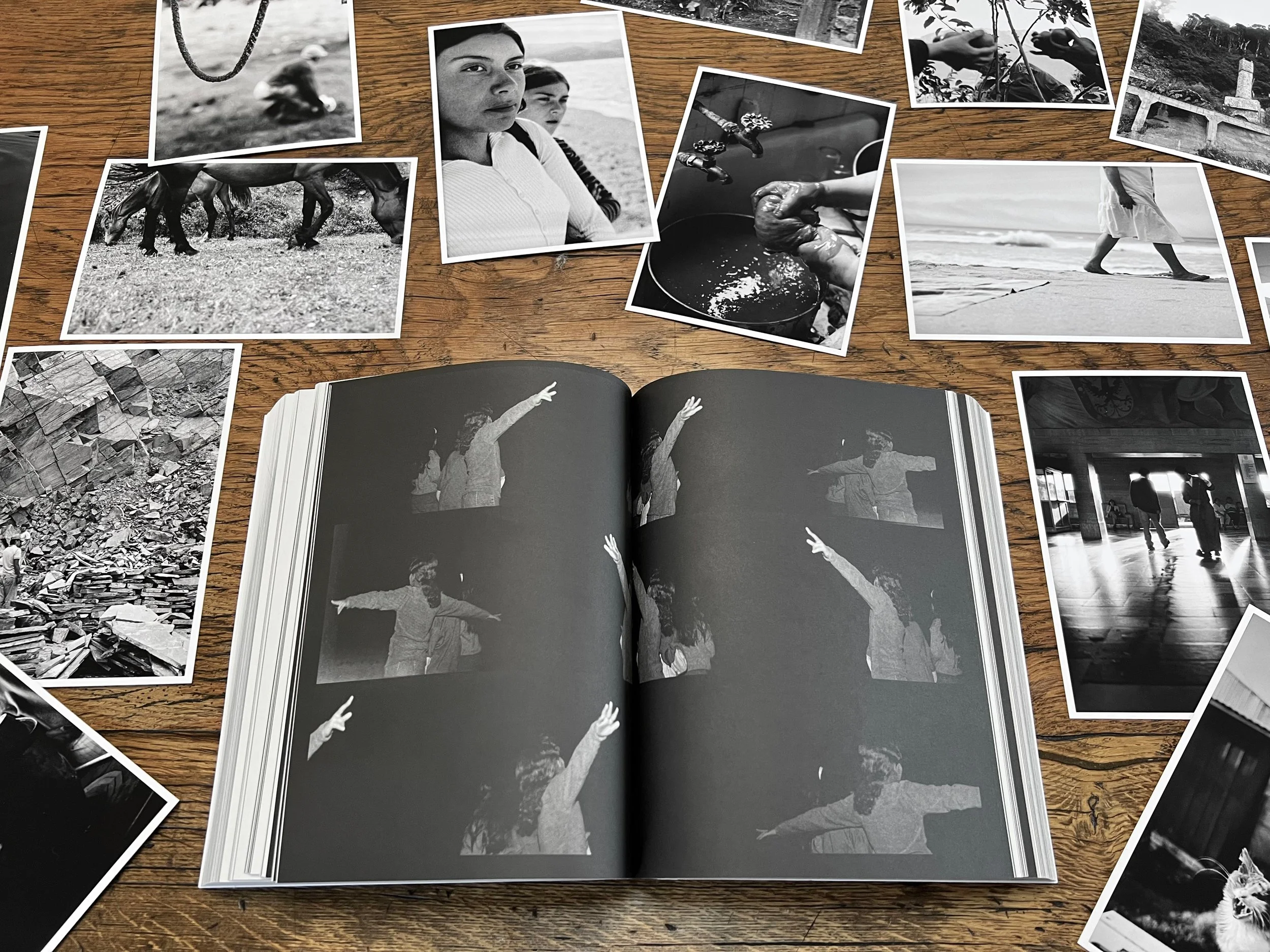 Kate Joyce Metamorphoses Book and Prints IMG_9354.jpeg