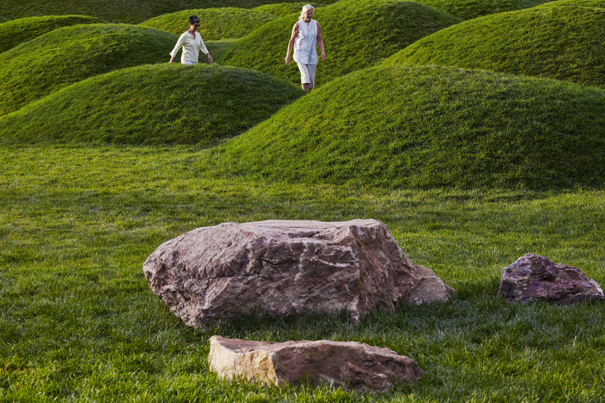 mikyoung kim design and jacobs/ryan associates / chicago botanic garden learning campus