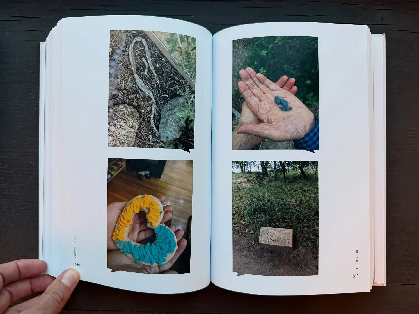 Zaydee&rsquo;s honey berries/hand in Analogies, he died seven years ago yesterday, today I gave a talk at Synthetic Imagination meeting on &ldquo;Photography as Theft of Imagination&rdquo; at the Santa Fe Institute, and the PURPLE ASTERS are off the 