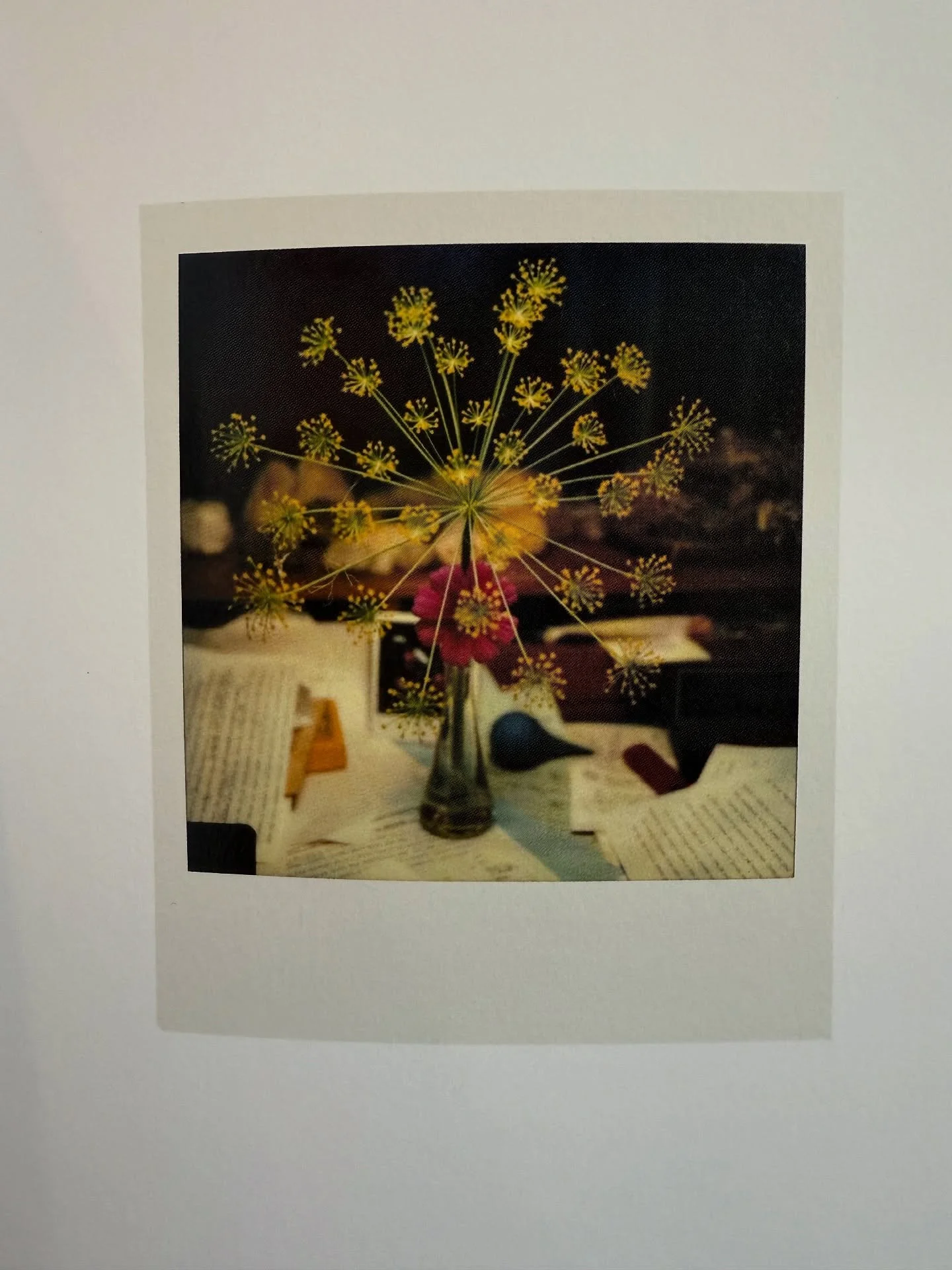 Ralph Ellison Photographer