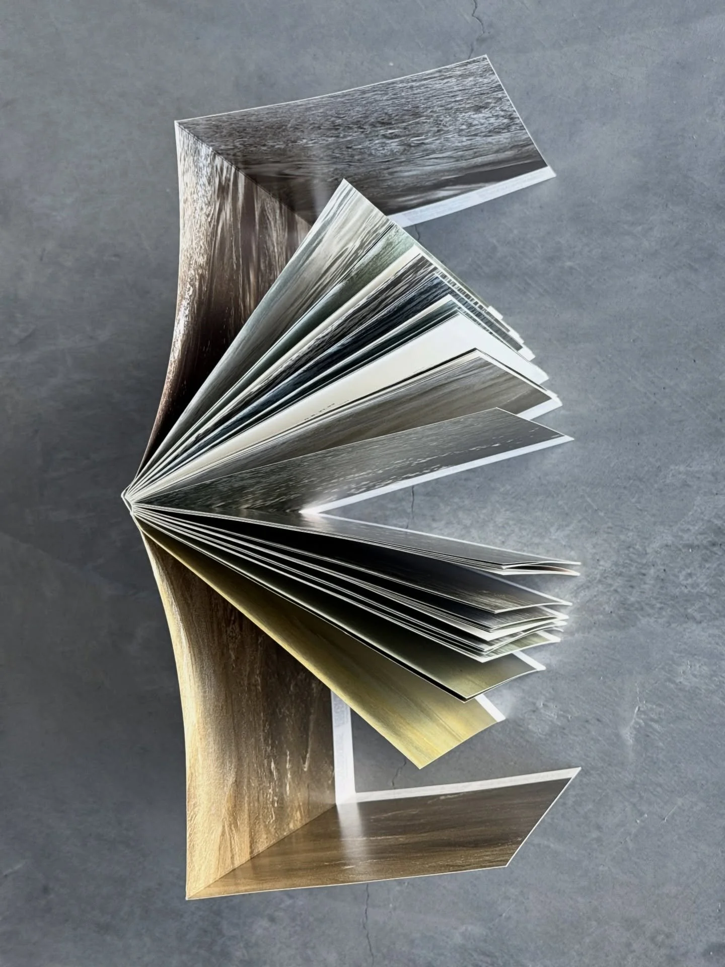 a favorite work, a perfect book

Colophon:
Book design: Roni Horn
Prepress: Bernard Fischer, Judith Lange
Printing: Steidl, G&ouml;ttingen
&copy; 2000 photographs, text, and design: Roni Horn
First edition: Scalo, Zurich
Second edition: Steidl, G&oum